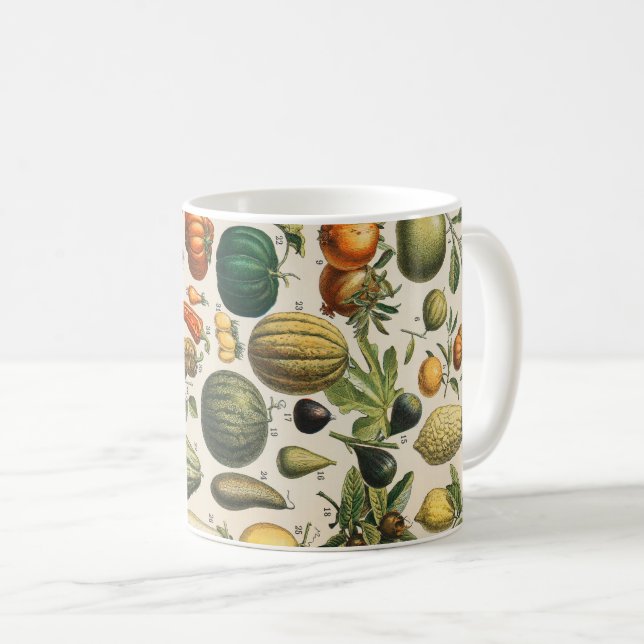 Fruit Vegetable Botanical Scientific Illustration Coffee Mug (Front Right)