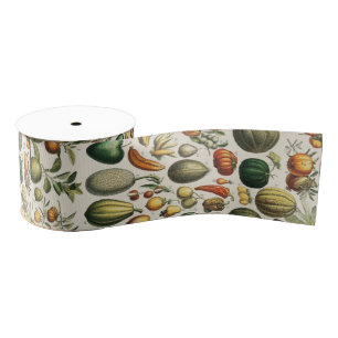 Fruit Vegetable Botanical Scientific Illustration Grosgrain Ribbon