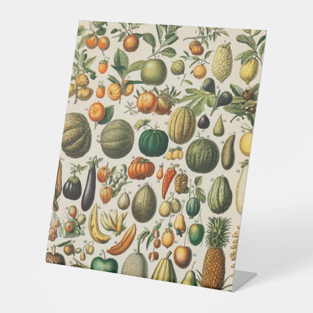 Fruit Vegetable Botanical Scientific Illustration Pedestal Sign (Front)