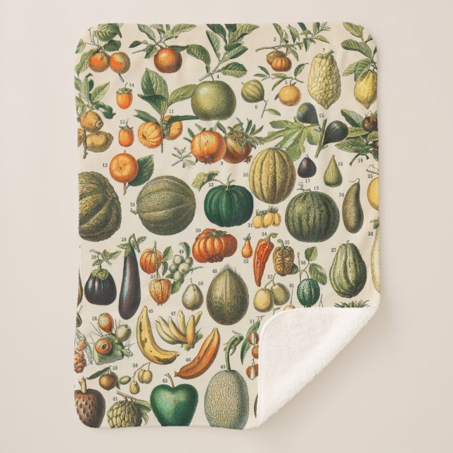 Fruit Vegetable Botanical Scientific Illustration Sherpa Blanket (Front)