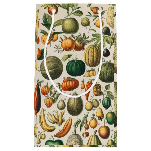 Fruit Vegetable Botanical Scientific Illustration Small Gift Bag (Front)
