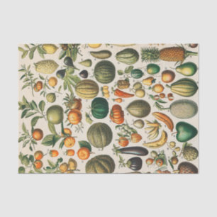 Fruit Vegetable Botanical Scientific Illustration Tissue Paper