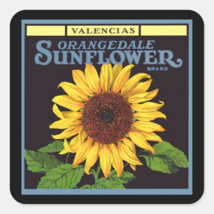 Fruit vintage Crate Étiquette Art Orangedale Tourn