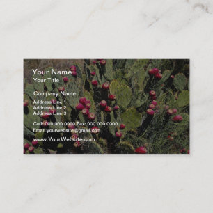 Fruited prickly pear cactus, Sonoran Desert Business Card