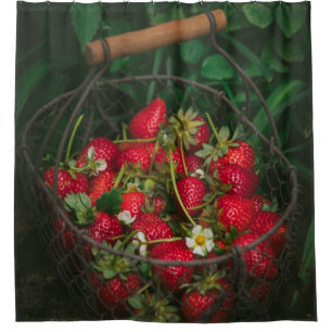 Fruits And Vegetables