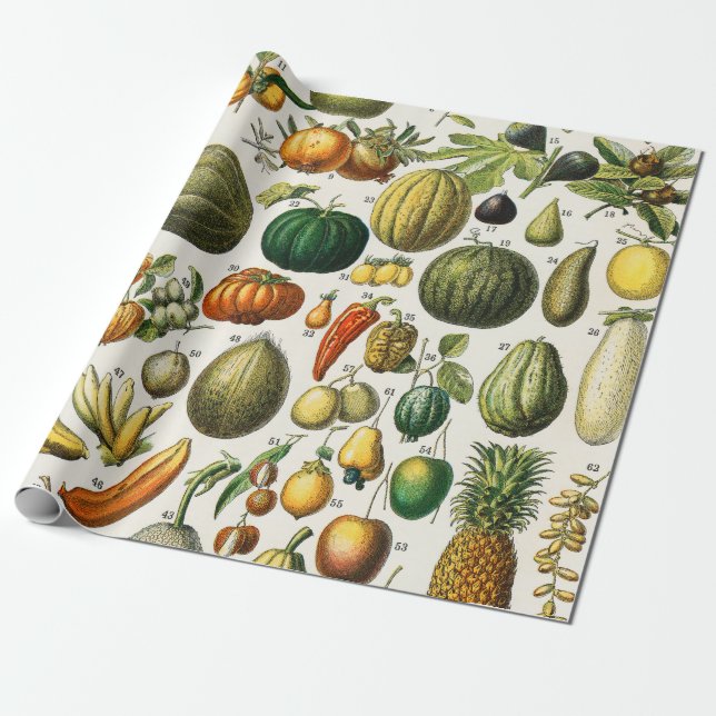 Fruits and Vegetables Wrapping Paper (Unrolled)