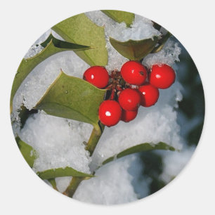 Fruits creux dans les autocollants à neige