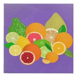 Fruits Faux Wrapped Canvas Print