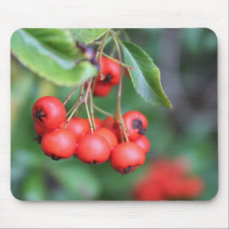 fruits in the fall, red berries mouse pad