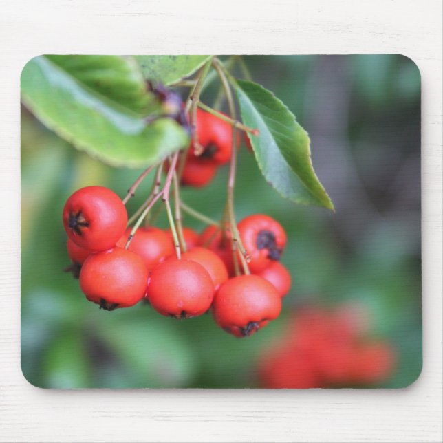 fruits in the fall, red berries mouse pad (Front)