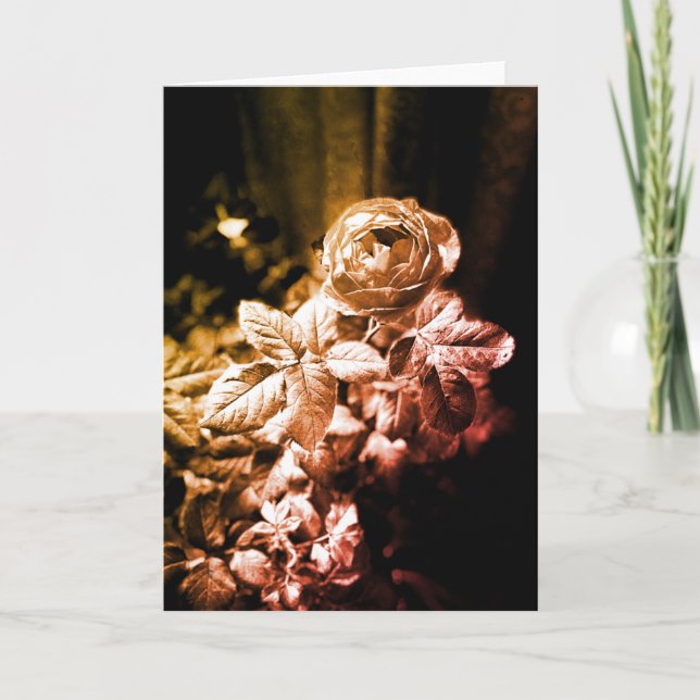 Fruity Parfuma Rose - Thank You Card (Front)