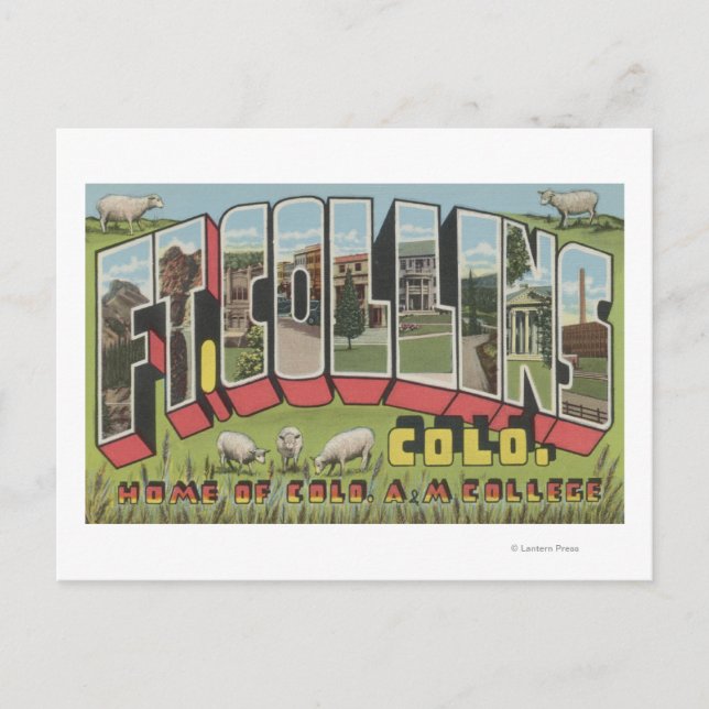 Ft. Collins, Colorado - Large Letter Scenes Postcard (Front)