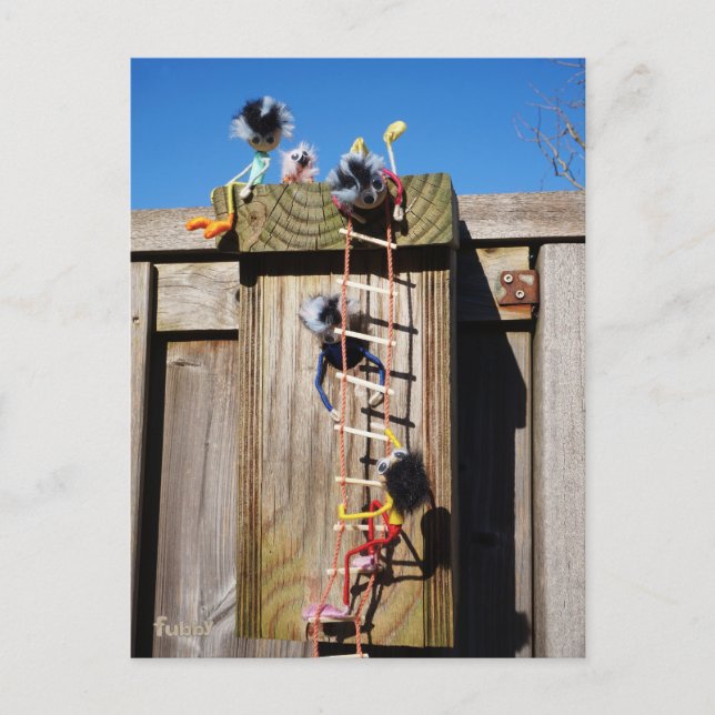 Fubby's climbing a birdhouse. postcard (Front)