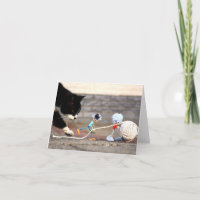 Fubby's playing with ball of string and Puss Ping.