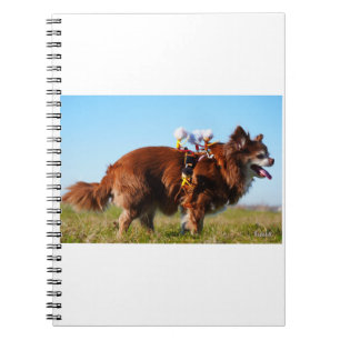 Fubby's riding on their doggy friend. notebook