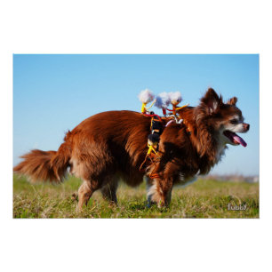 Fubby's riding on their doggy friend. poster