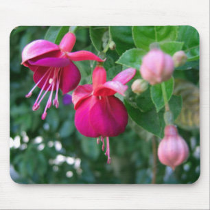 Fuchsia 1 mouse pad