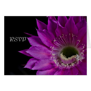 Fuchsia Cactus flower RSVP