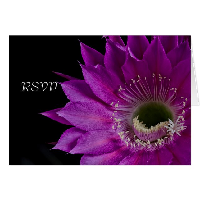 Fuchsia Cactus flower RSVP (Front Horizontal)