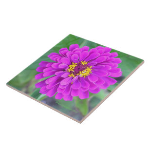  FUCHSIA-COLORED FLOWER TILE