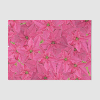 Fuchsia coloured poinsettias, floral pattern tissue paper