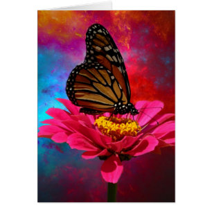 fuchsia daisy turquoise teal bohemian butterfly