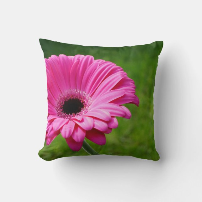 Fuchsia Gerbera Daisy Blooming Throw Pillow (Front)