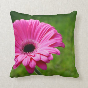 Fuchsia Gerbera Daisy Blooming Throw Pillow