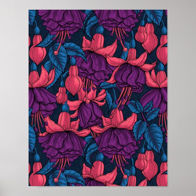 Fuchsia in blue and purple poster (Front)