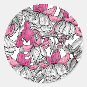 Fuchsia in white and pink classic round sticker