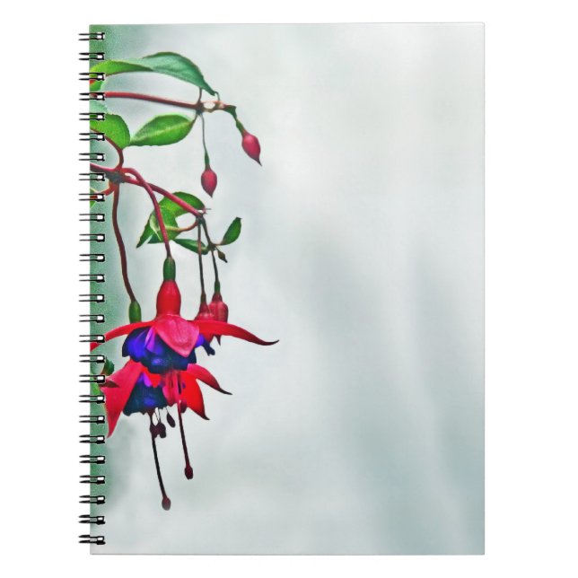 Fuchsia Notebook (Front)