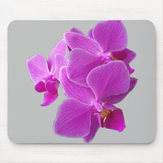 Fuchsia Orchids on a mousepad (Front)