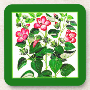 Fuchsia Pink Italian Hibiscus flowers Coaster