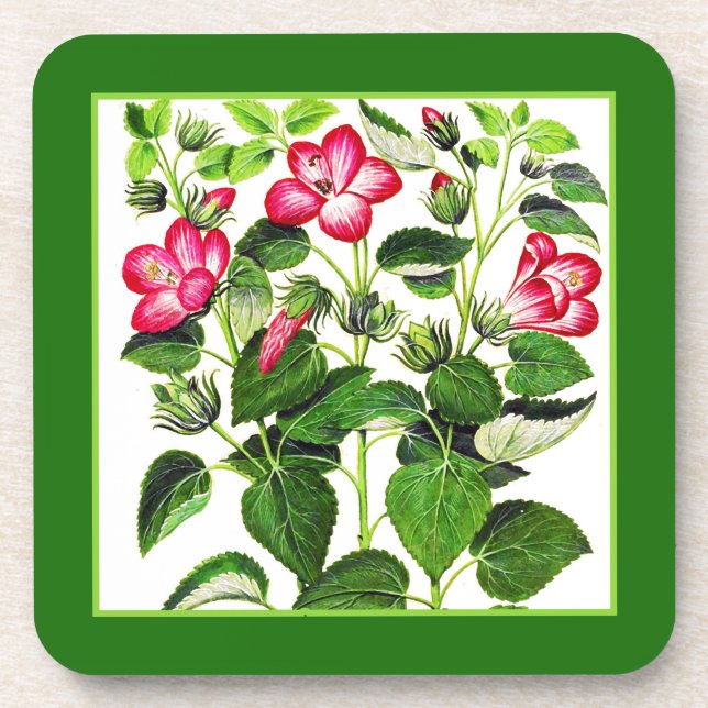 Fuchsia Pink Italian Hibiscus flowers Coaster (Front)