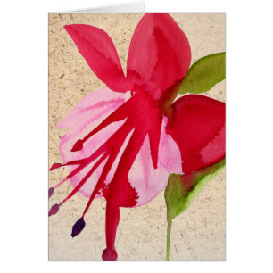 Fuchsia pop art watercolour flower