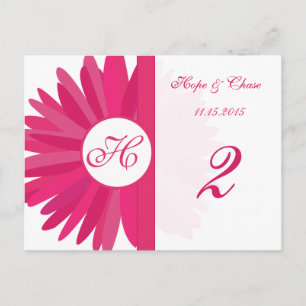 Fuchsia rose Gerber Daisy Tableau Numéro Cartes