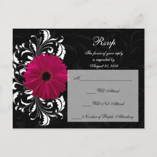 Fuchsia Scroll Gerbera Daisy w/Black and White Invitation Postcard