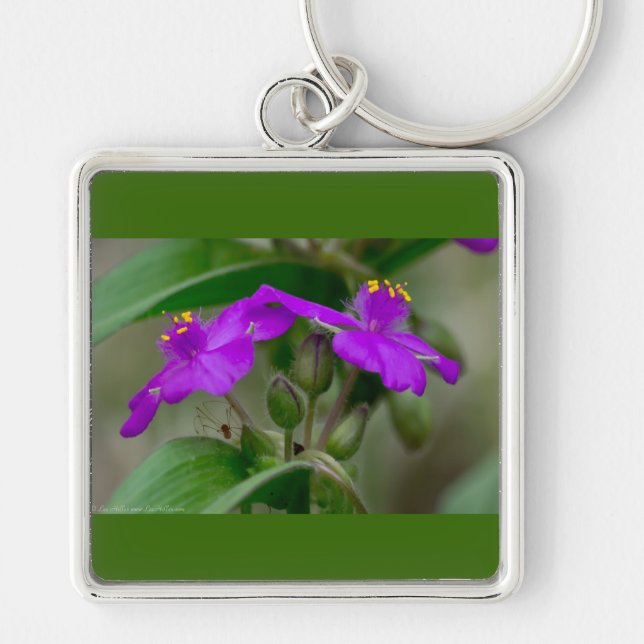 Fuchsia Spiderwort Twins Wildflower Gifts  Apparel Keychain (Front)