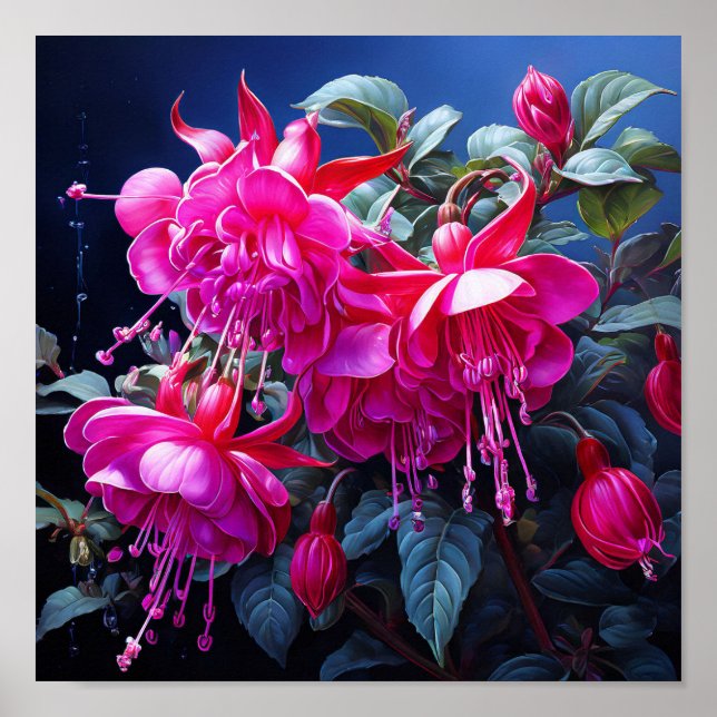  fuchsia watercolor  Poster (Front)
