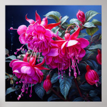  fuchsia watercolor  Poster