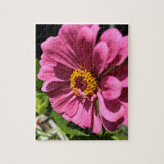 Fuchsia Zinnia Flower Close-Up Jigsaw Puzzle