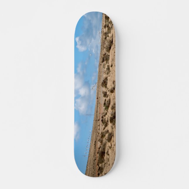 Fuerteventura Skateboard (Front)