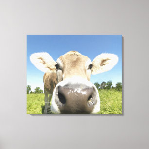 Fuessen, Bavaria, Germany Canvas Print