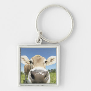 Fuessen, Bavaria, Germany Keychain