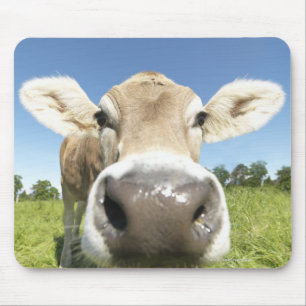 Fuessen, Bavaria, Germany Mouse Pad