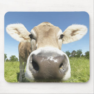 Fuessen, Bavaria, Germany Mouse Pad