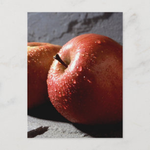 Fuji Apples Postcard