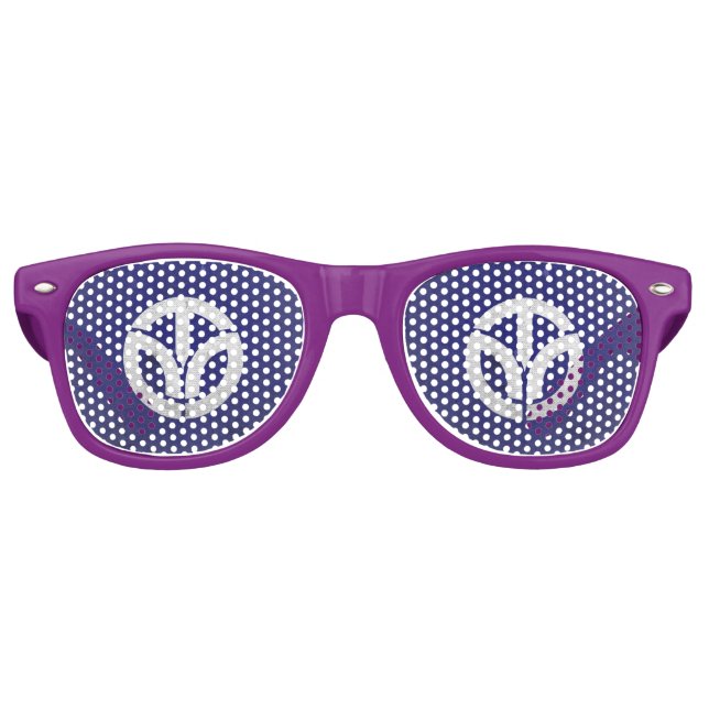 Fukui prefecture retro sunglasses (Front)