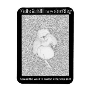 FULFILL HIS DESTINY SAVE WILDLIFE RAT POISON KILLS MAGNET