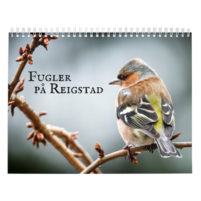 Fulger på Reigstad - Kalender 2021 Calendar (Cover)